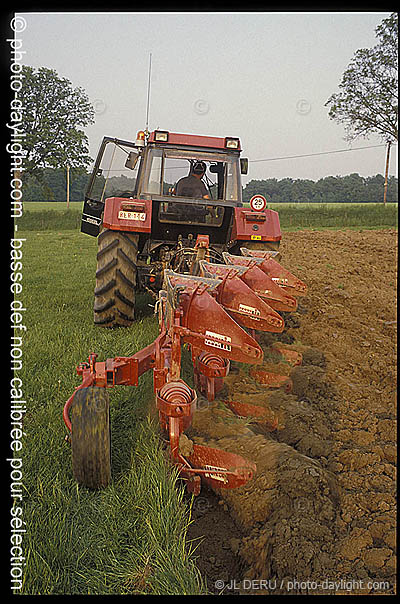 agriculture